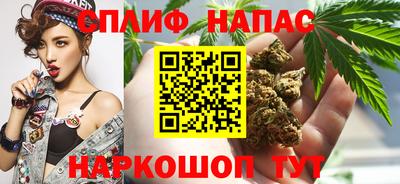 СК Гусь-Хрустальный