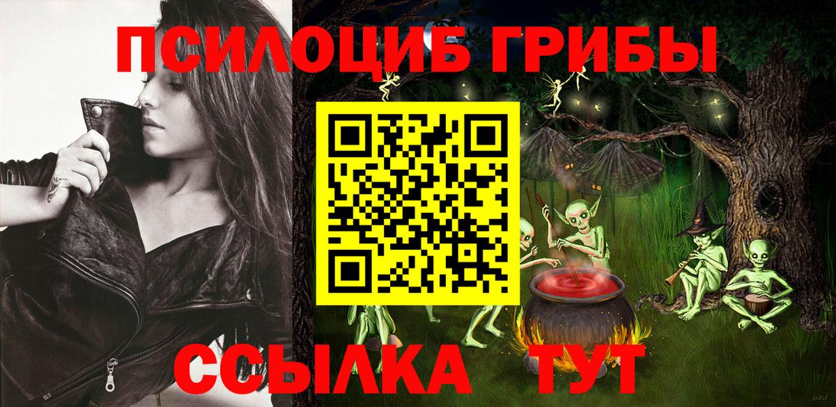 Псилоцибиновые грибы Psilocybe Удомля