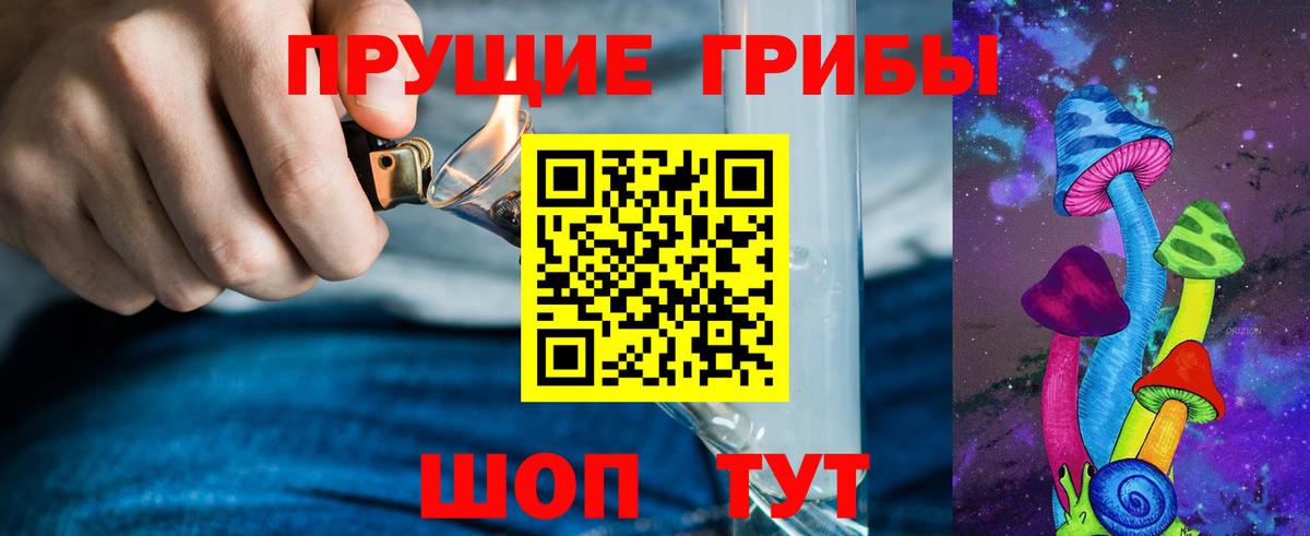 Удомля  Галлюциногенные грибы прущие грибы  Вход с VPN  Галлюциногенные грибы Cubensis 